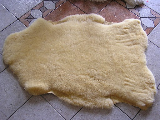 Ar augu em apstrdta aitda.